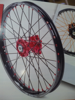 ������ Talon